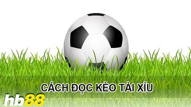 Cách đọc kèo tài xỉu cơ bản