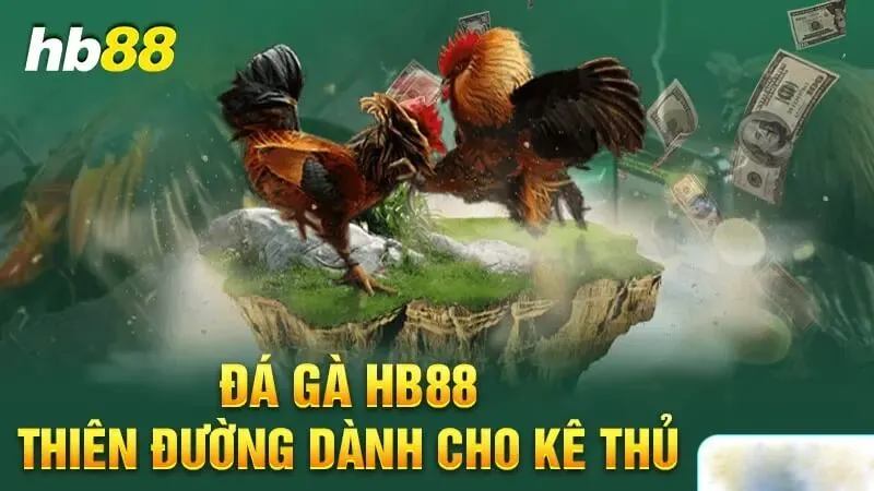 Khái quát chung về sân chơi đá gà Hb88