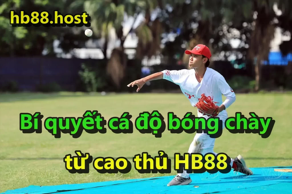 Bí quyết cá độ bóng chày từ cao thủ HB88