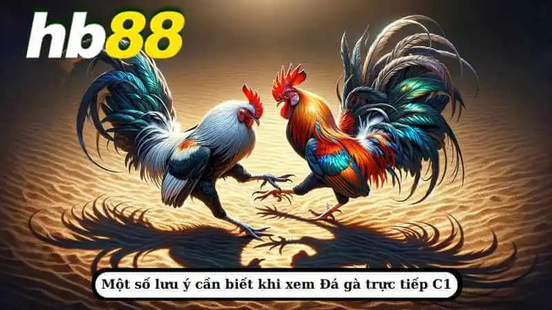 Kinh nghiệm chơi đá gà trực tiếp C1