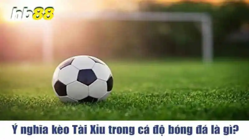 Các thuật ngữ của kèo tài xỉu