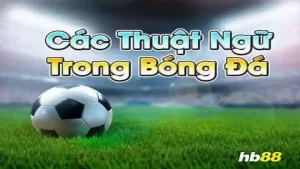 Các thuật ngữ cá độ bóng đá